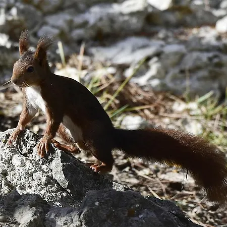 Vendégház La Cantavieja