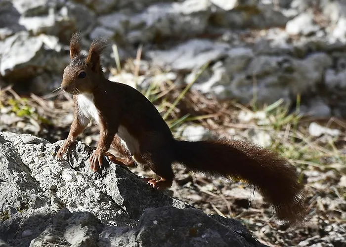 Pensión La Cantavieja